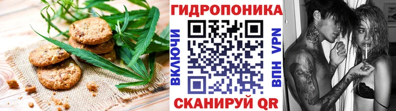 магазин продажи наркотиков  Мариинск  Печенье с ТГК марихуана 