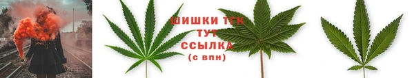 молекула духа Вязники