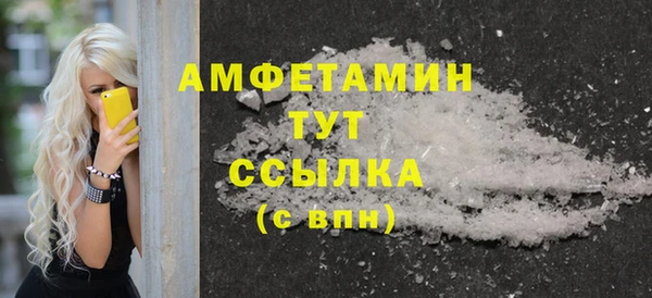 гашик Вязьма