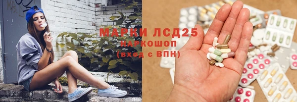 гашик Вязьма