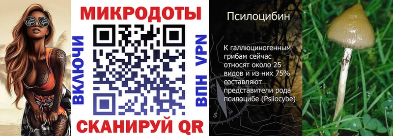 Галлюциногенные грибы Psilocybe  закладка  Мариинск 